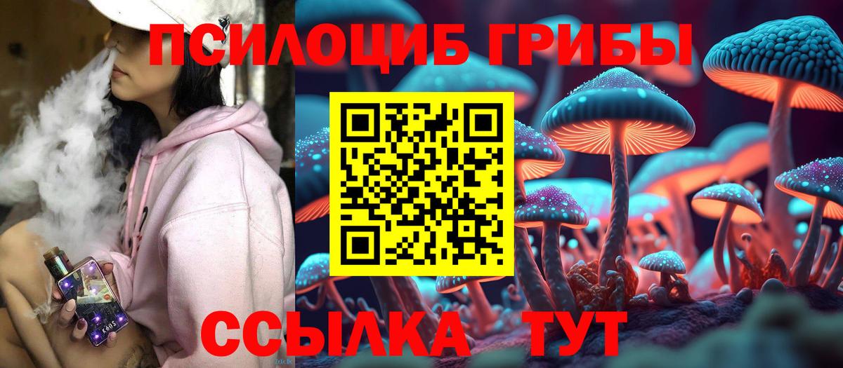 Псилоцибиновые грибы Psilocybe Биробиджан